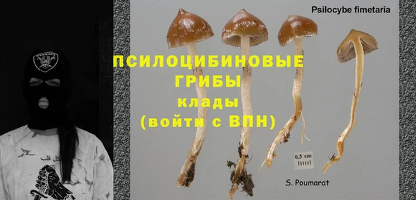 альфа пвп Пролетарск